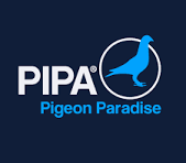 PIPA